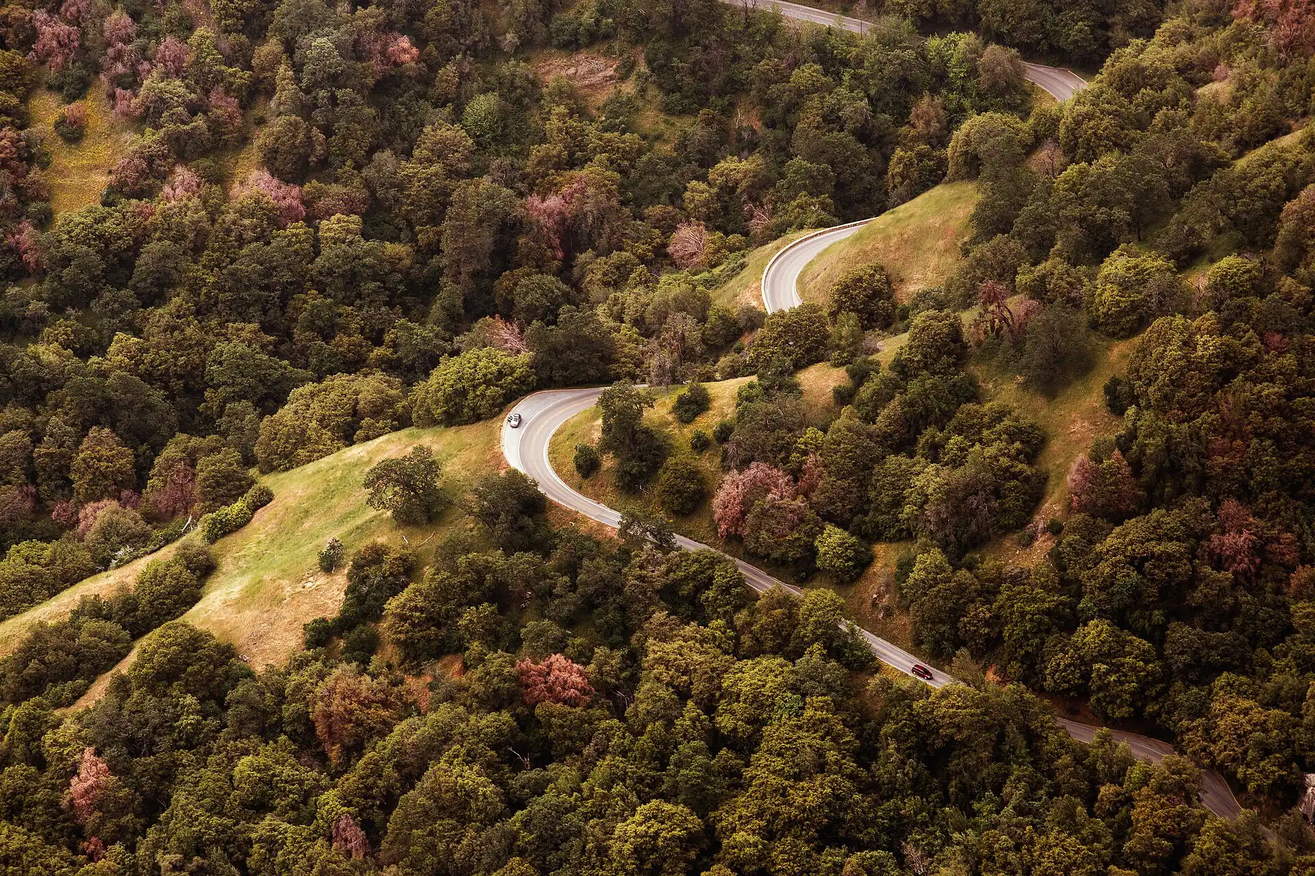 A winding road through oak hills in California.